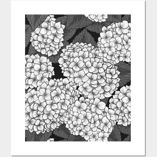 White hydrangea Posters and Art